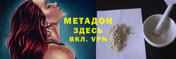 индика Алексин
