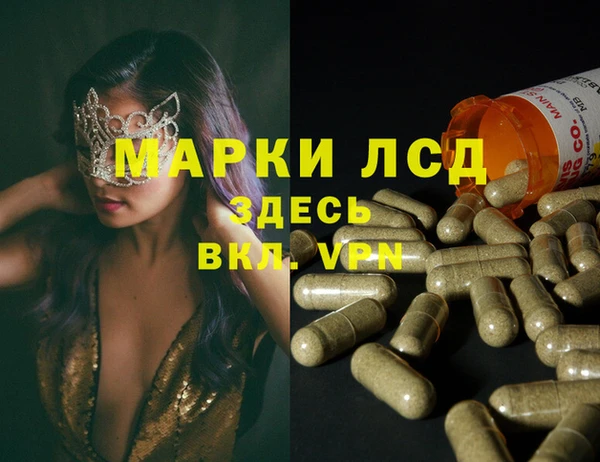 индика Алексин
