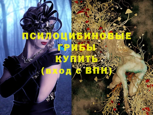 индика Алексин
