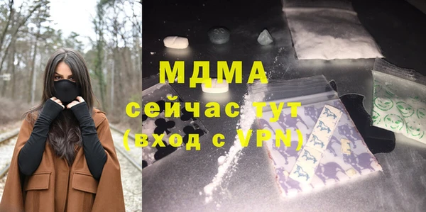 индика Алексин