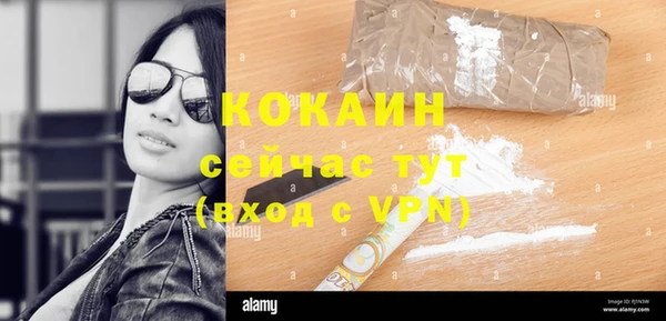 тгк Алзамай